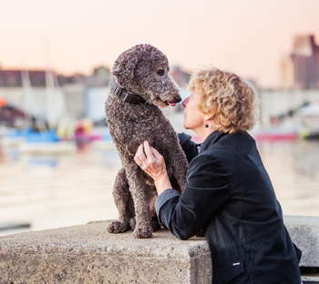 Dog with Owner